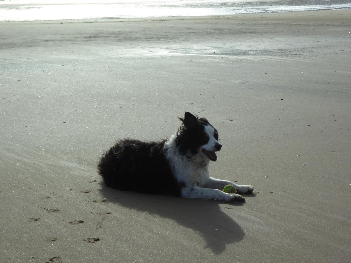 Bridlington'S Bolt Hole Chalet Dış mekan fotoğraf